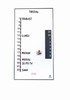 MEMOdayplanner 3 MEMOdayplanner 3