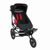 Delta Buggy