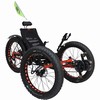 ICE Fatbike  - eksempel fra produktgruppen trehjulsykler med fotpedaler og to forhjul