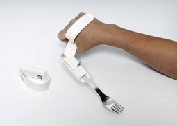 Bestikkholder