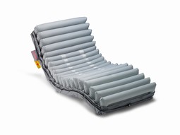 Domus Auto madrass